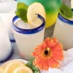 Copycat Disneyland Mint Julep