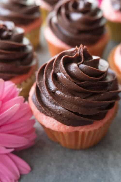 Strawberry Cupcake with Chocolate Frosting