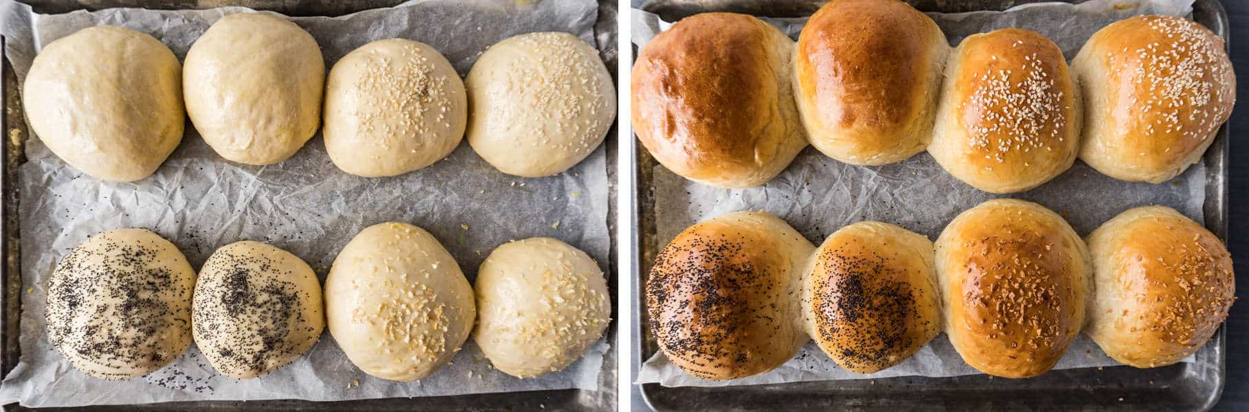 Hamburger Bun Recipe Step 4 and Step 5, cover with egg wash, sprinkle with seeds and bake