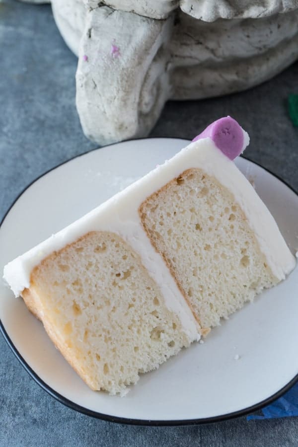 Dutch Custard Cake – My Whisk and I