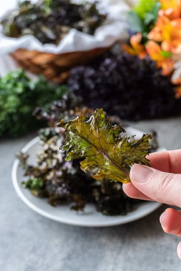 Baked Kale Chip being held 