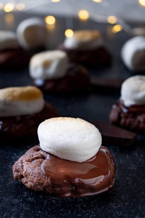 Hot Cocoa Cookie with chocolate melted and marshmallow toasted