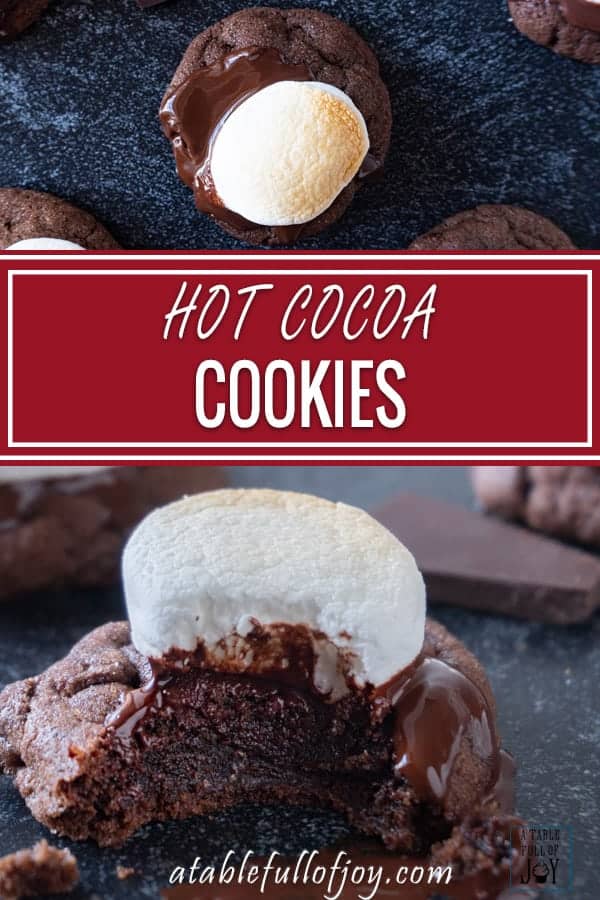 Hot Cocoa Cookie Pinterest Pin