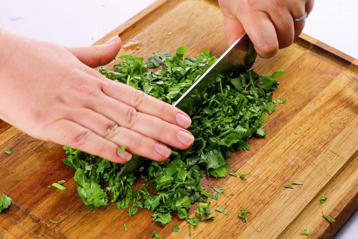 How to chop cilantro | 3 easy steps for the perfect garnish!